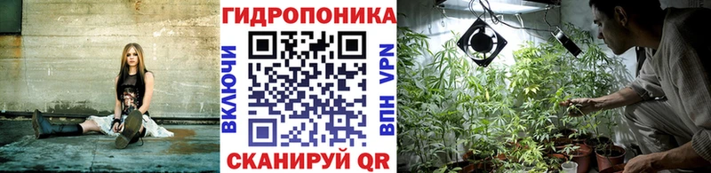 Купить  Черняховск  Шишки марихуана индика 